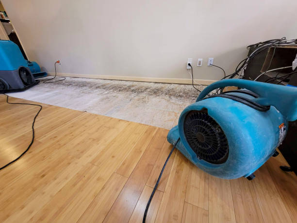 Reliable Basement Flood Cleanup contractor in Ottawa, KS by Hirex Water Damage