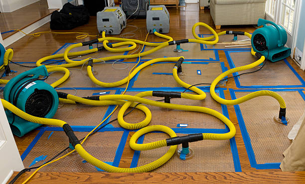 Professional Basement Flood Cleanup technician working in Ottawa, KS